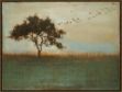Picture of A Fleeting Glimpse by Liz Jardine