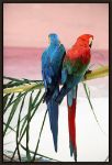 Picture of Palm Parrots by Elena Sunstar