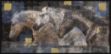Picture of Horse Silk Screen by Marta Wiley