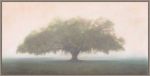 Picture of Oak In The Fog by William Guion