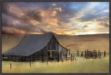 Picture of Sunshine Will Follow by Lori Deiter