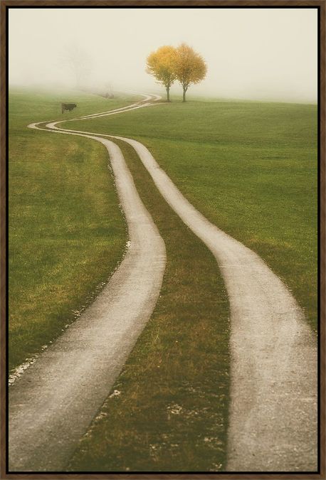 Picture of Winding Path by Lars Van De Goor