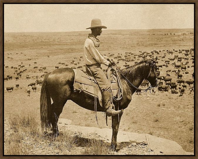 Picture of A Texas Cowboy 1907 by Edwin E Smith