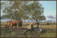 Picture of Cowboy Church by Bradley Schmehl