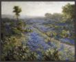 Picture of Field Of Texas Bluebonnets And Prickly Pear Cacti by Julian Onderdonk