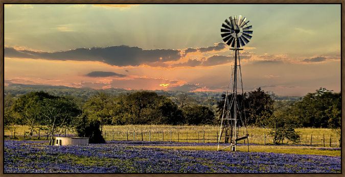 Picture of It's Gonna Be A Fine Day by Don Winkler