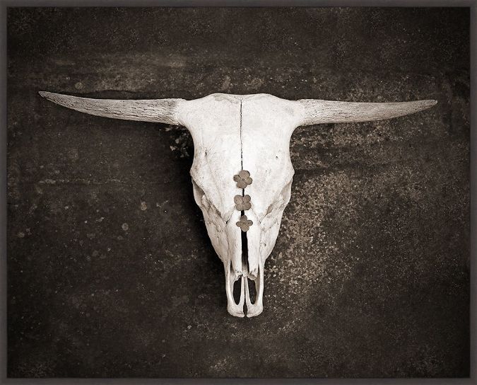 Picture of Sepia Cattle Skull by Brooke Ryan