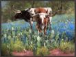 Picture of T For Texas by Jack Sorenson