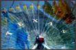 Picture of Texas Ferris Wheel by Sisa Jasper