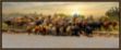 Picture of Who's Gonna Go First by Don Winkler
