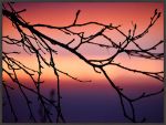 Picture of Abstract Sunset II by Savanah Plank