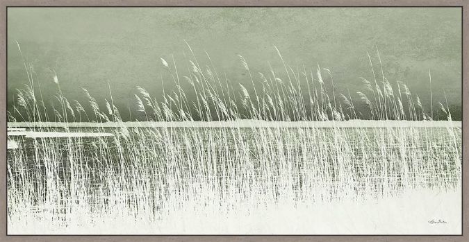 Picture of Beach Grass  by Lori Deitier