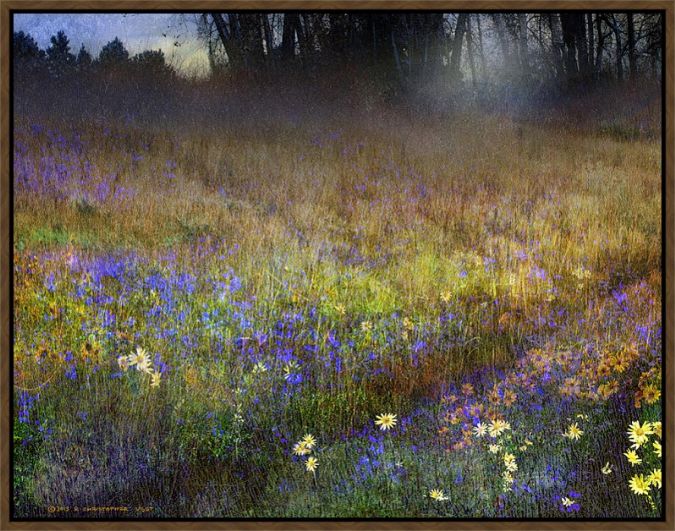 Picture of Flowered Hillside  by Chris Vest