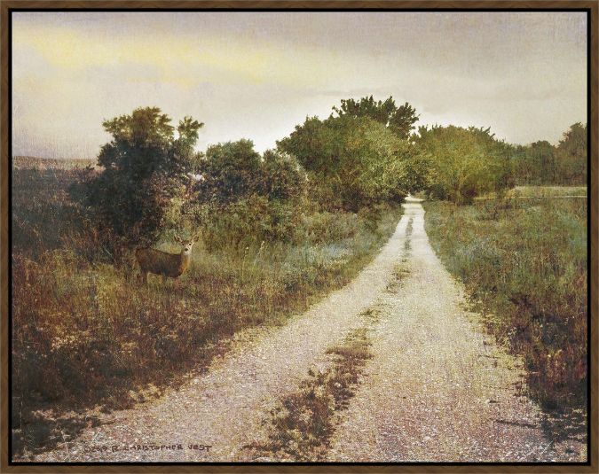 Picture of Gravel Road  by Chris Vest