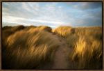Picture of Grassy Dune by Ronald Bolokofsky