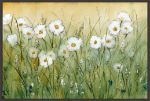 Picture of Daisy Spring II by Tim O'Toole