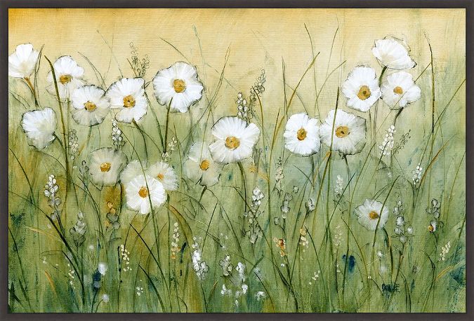 Picture of Daisy Spring II by Tim O'Toole