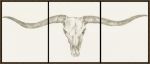 Picture of Western Skull Mount by Ethan Harper