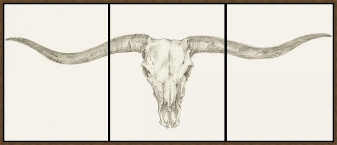 Picture of Western Skull Mount by Ethan Harper