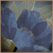 Picture of Blooming Jewels-C by Robert Lacie
