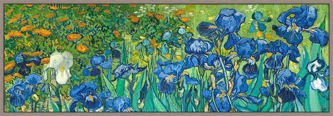 Picture of Irises by Vincent Van Gogh