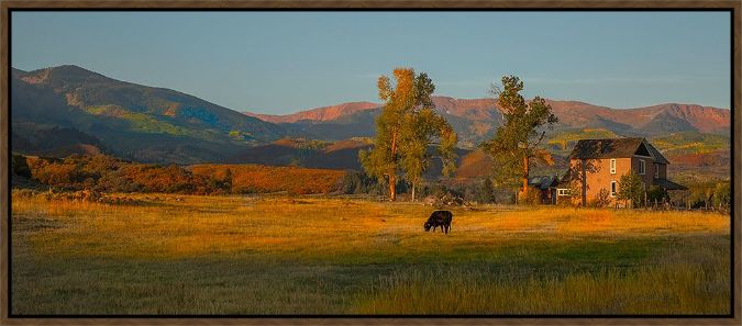 Picture of Fall Grazing by Sally Linden