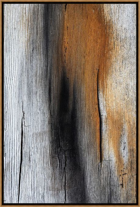 Picture of Wood Details IV by Kathy Mahan