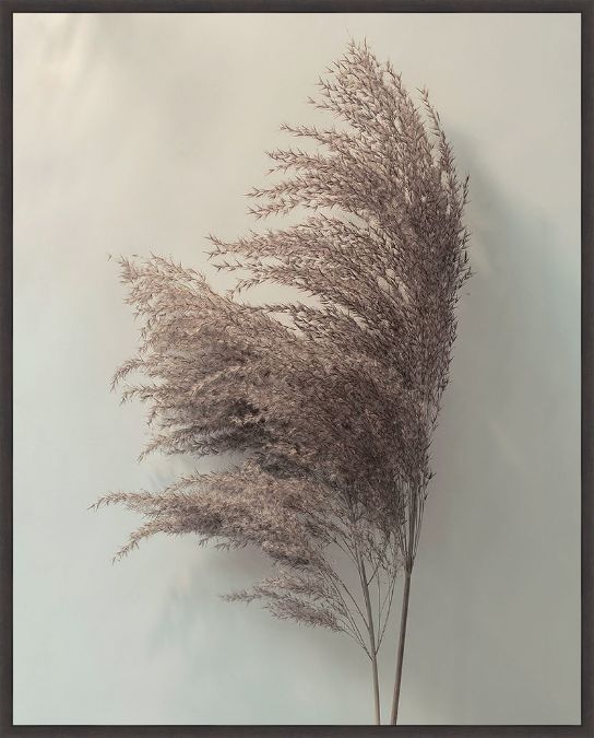 Picture of Pampus Grass II by Jan Winstanley