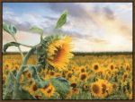 Picture of Sunflower Sunrise by Lori Deiter