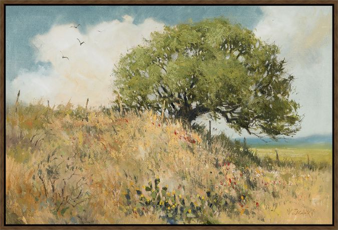 Picture of Texas Summer by H.C. Zachry