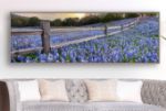 Picture of Bluebonnet Fence by Rob Greebon