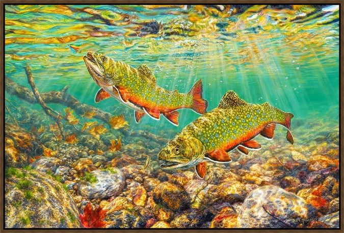 Picture of River Light -Brook Trout by Beth Hoselton