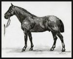 Picture of Horse Study 4 by Stellar Design