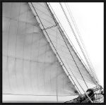 Picture of Under Sail I by Laura Denardo