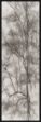 Picture of Tree Triptych I by Norm Stelfox