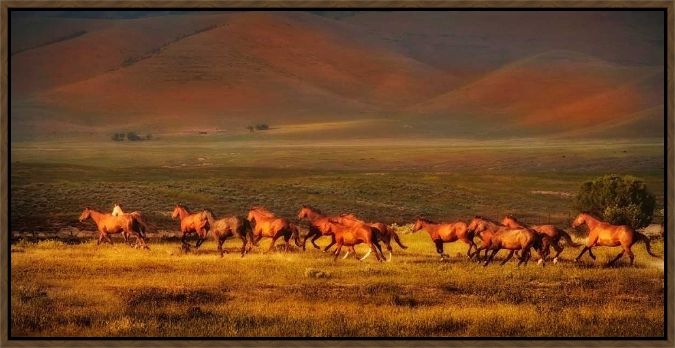 Picture of Montana Dreaming by Lisa Dearing