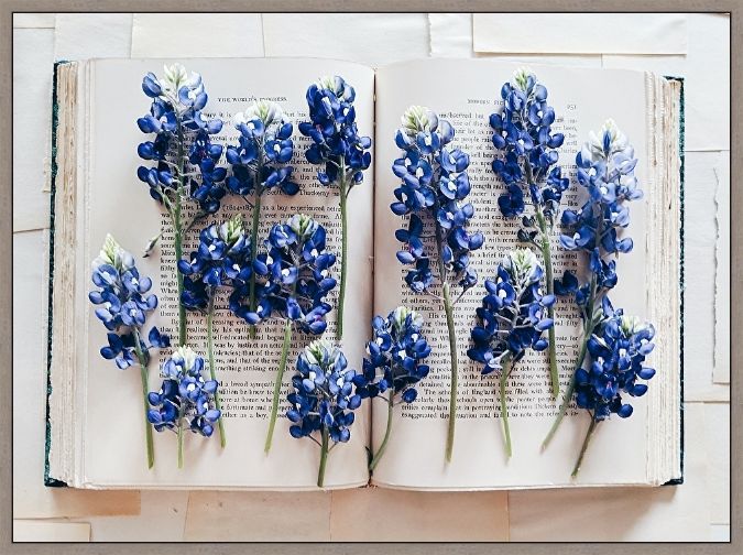 Picture of Bluebonnet Reader by Joyce Mccown