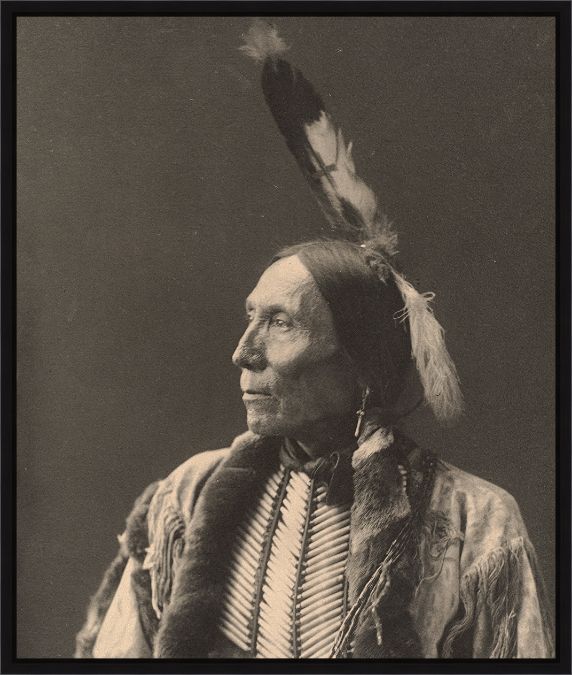 Picture of Chief Wolf Robe - Cheyenne by Boston Public Library