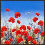 Picture of Poppy Meadow II by Hilary Mayes