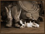Picture of Cowboy Puppy Sepia by Robert Dawson