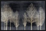Picture of Trees On Dark Gray by Kate Bennett