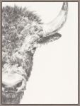 Picture of Graphite Bison Portrait II by Ethan Harper