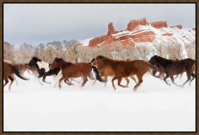 Picture of Snow Run III by P.H. Burchett