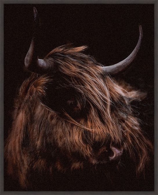 Picture of Moody Cow by Dan Meneely