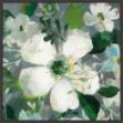 Picture of Anemone Friends II by Danhui Nai