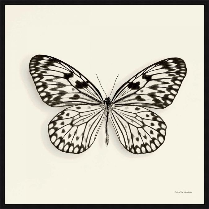 Picture of Butterfly V by Debra van Swearingen