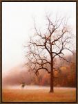 Picture of Elk In The Mist by P.H. Burchett