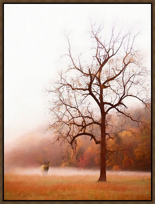 Picture of Elk In The Mist by P.H. Burchett