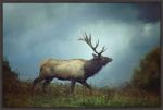 Picture of The Elk by Carrie Ann Grippo-Pike