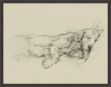 Picture of Dog Days III by Ethan Harper